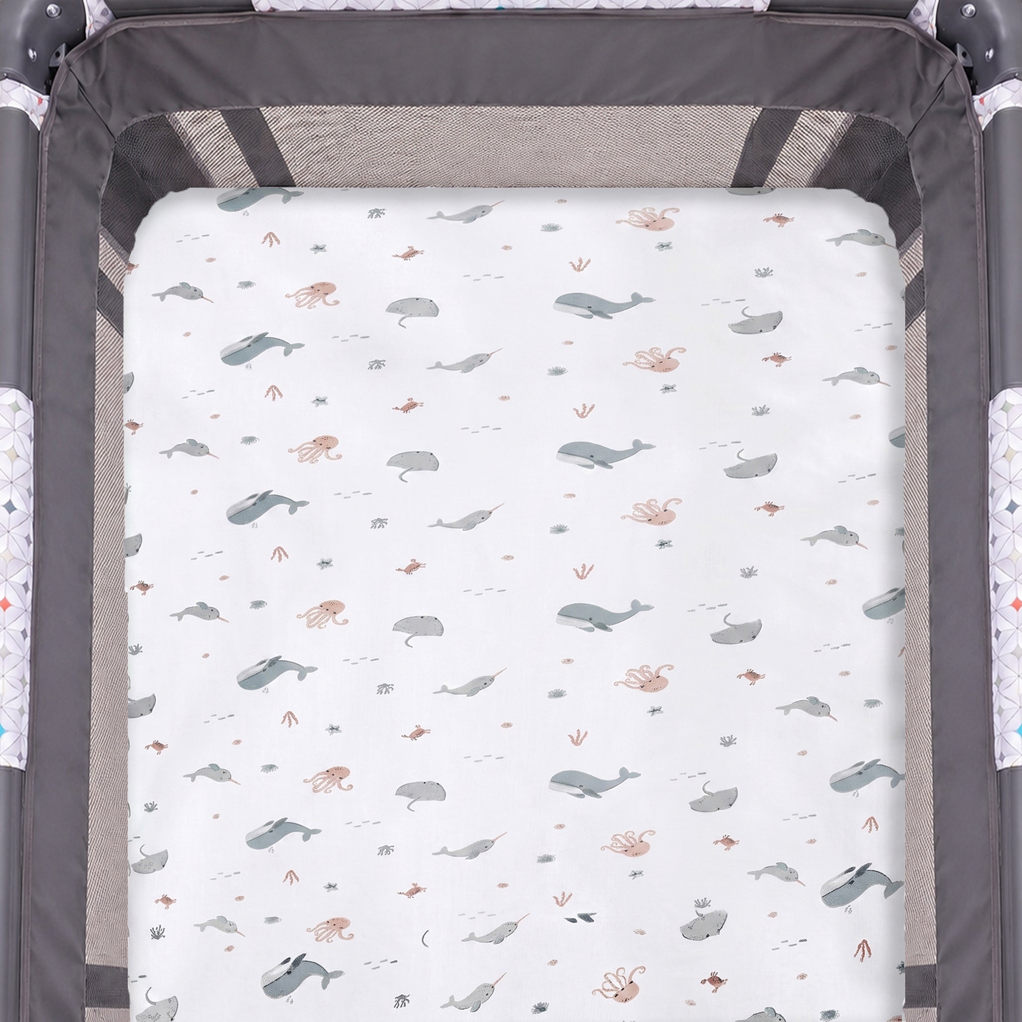 Ocean Friends (Playpen)